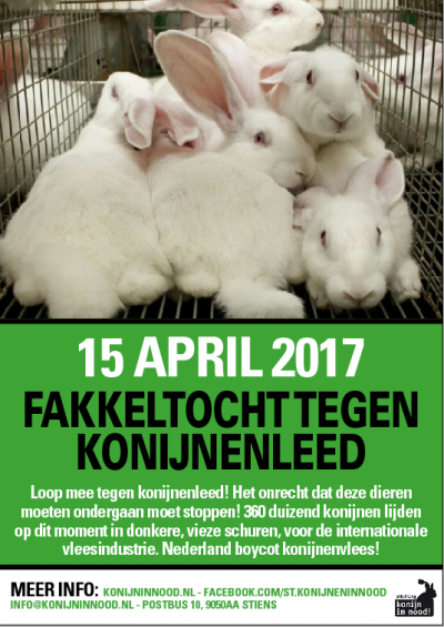 Afbeelding invoegen