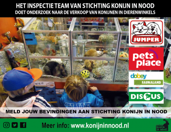 Afbeelding invoegen