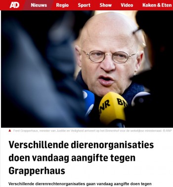 Afbeelding invoegen