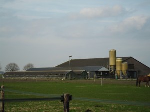Afbeelding invoegen